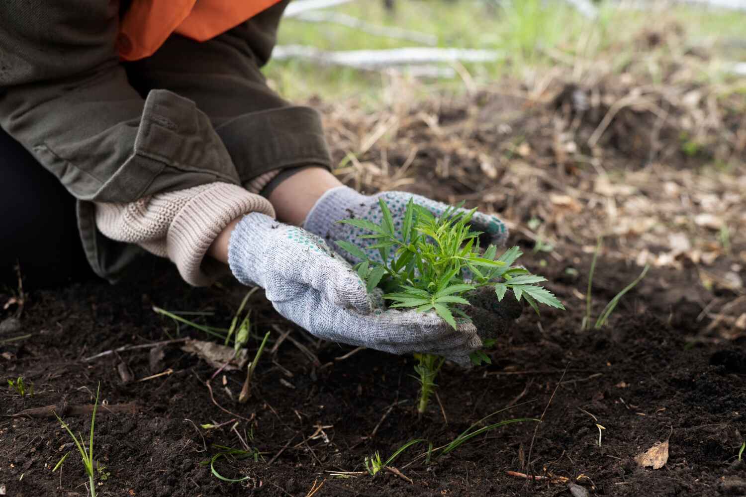 Best Tree Clearing Services  in Splendora, TX